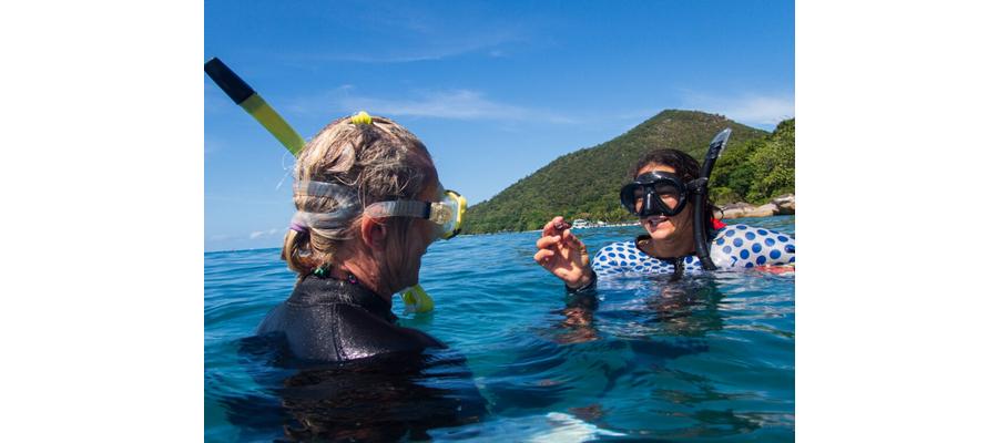 Great Barrier Reef island resort now offers guest experience at Turtle Rehabilitation Programme