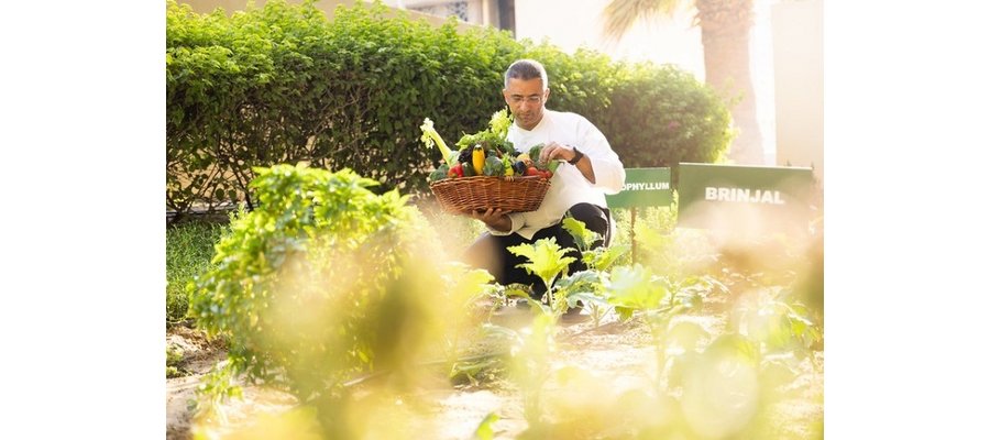 AT SWISSOTEL, WE LIVE AND LOVE SUSTAINABILITY