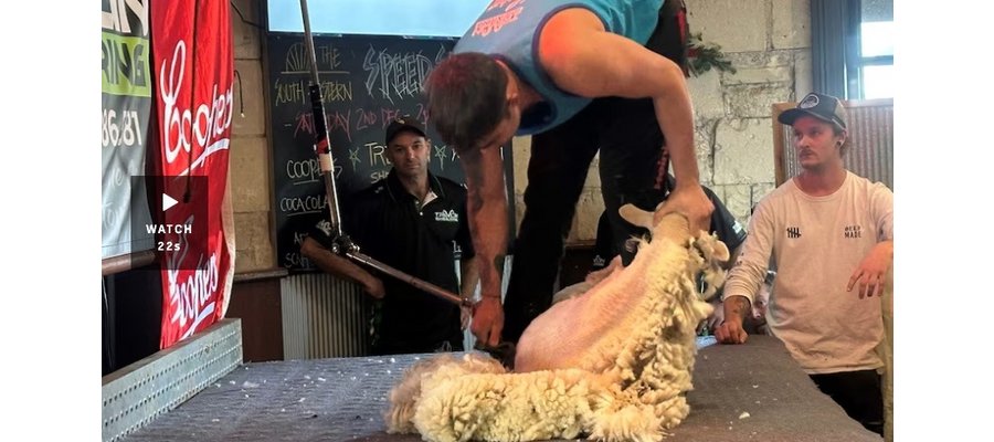 Speed shearing competition in Mount Gambier's South Eastern Hotel raises funds for local groups