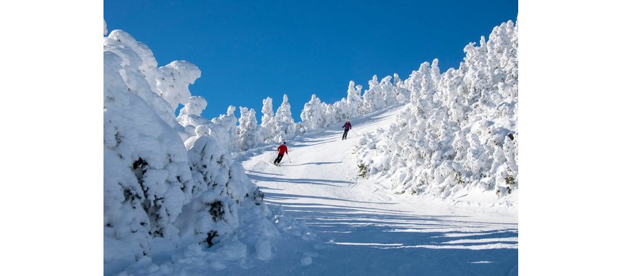 How a Vermont Ski Area Roared Back From a Financial Scandal