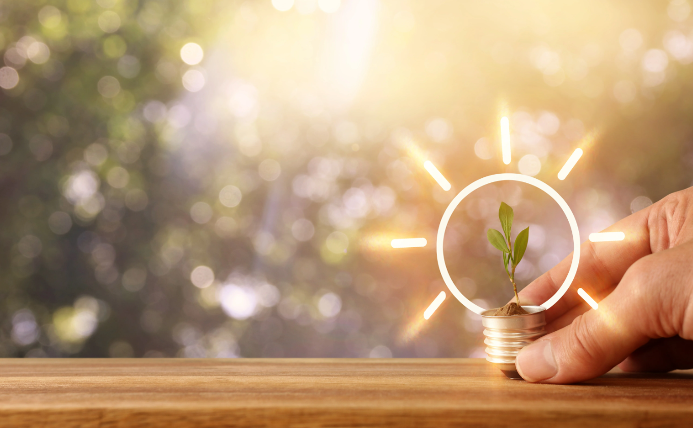 CSR adoption in independent hotels: The drivers and barriers