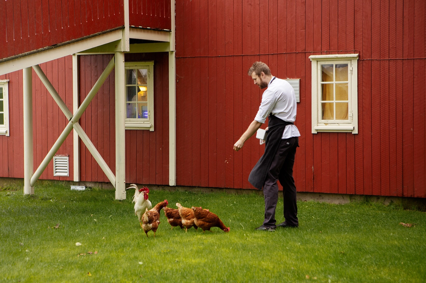 The pioneer: meet the chef enticing food lovers to rural Norway