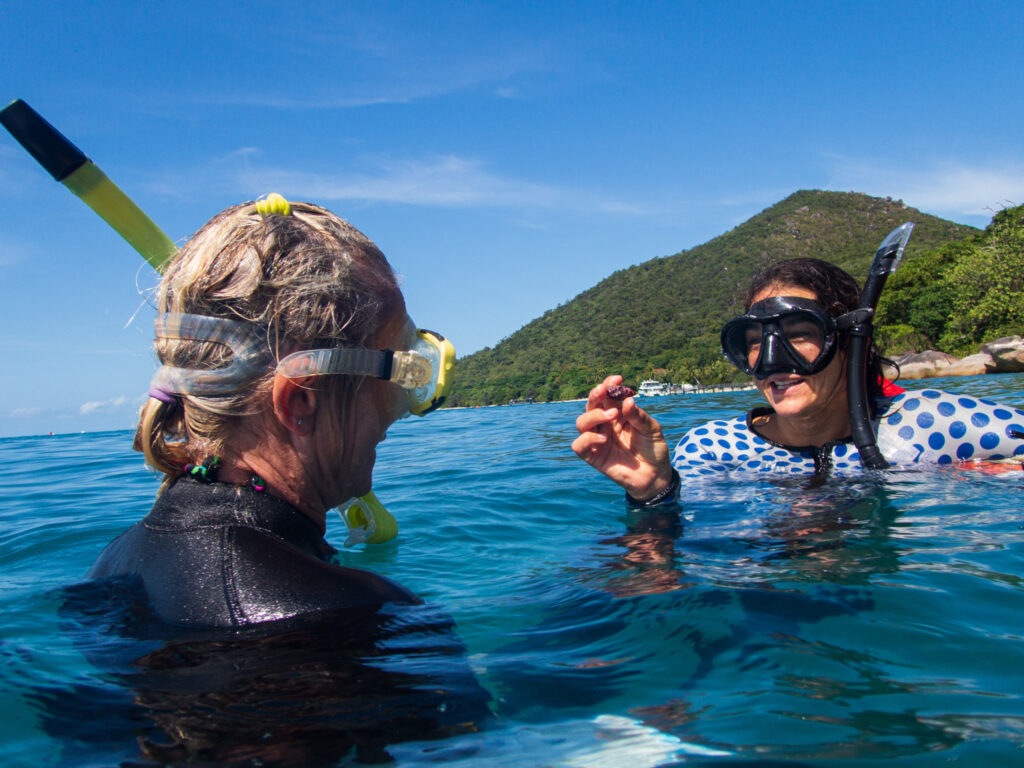 Great Barrier Reef island resort now offers guest experience at Turtle Rehabilitation Programme