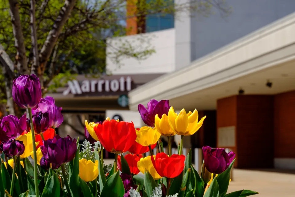 Marriott CFO: A soft landing for the economy 'now seems more likely'