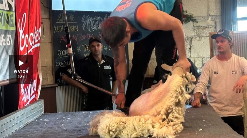 Speed shearing competition in Mount Gambier's South Eastern Hotel raises funds for local groups