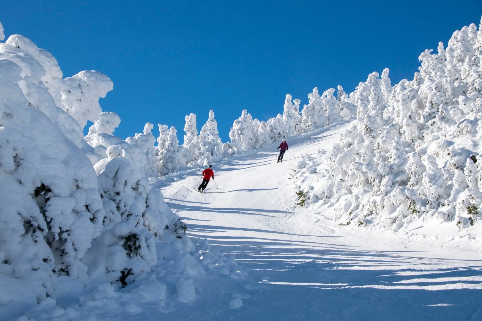 How a Vermont Ski Area Roared Back From a Financial Scandal