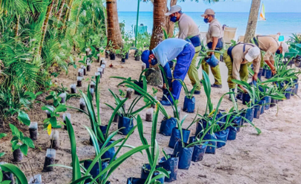 Iberostar achieves 12% reduction in emissions globally
