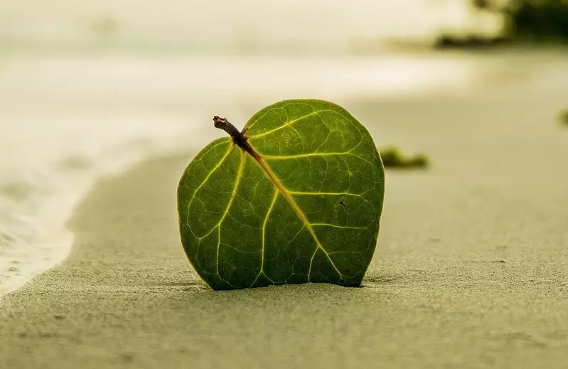 Hotel development: Covivio Hotels successfully issues a €500m Green Bond